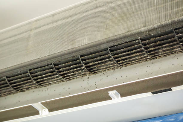 Best Duct Cleaning for Offices  in Oxford, AL